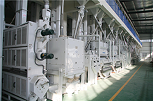 50 Tons rice mill plant project in Rizhao